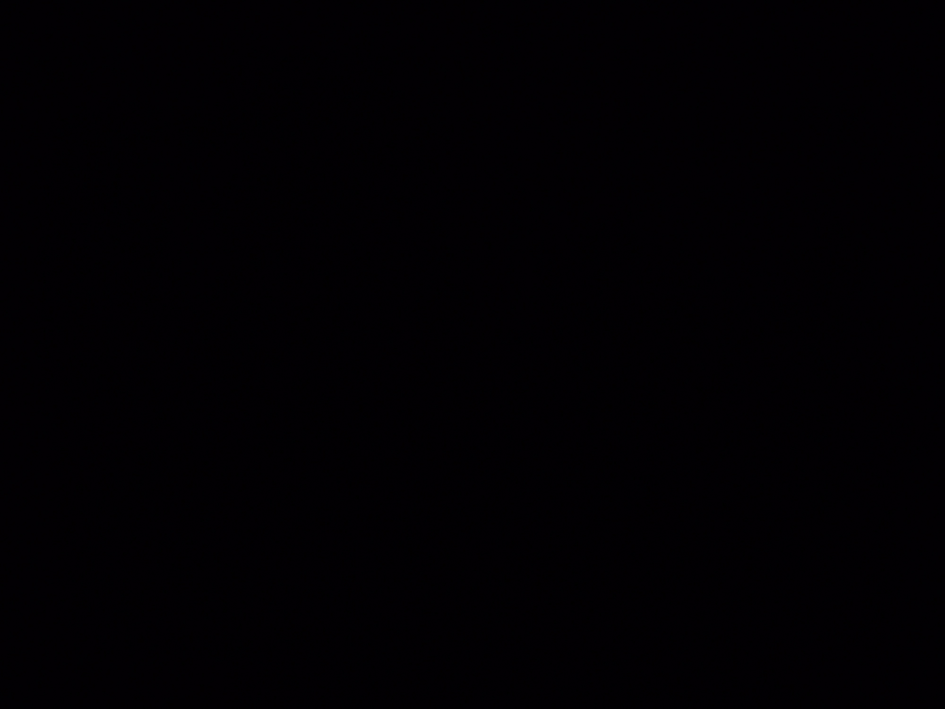 20260725_062833.jpg